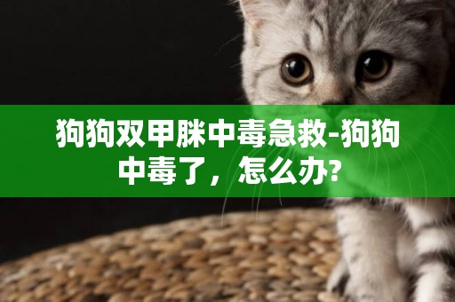 狗狗雙甲脒中毒急救-狗狗中毒了，怎么辦?