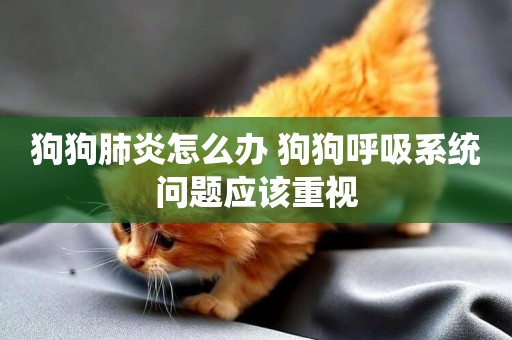狗狗肺炎怎么辦 狗狗呼吸系統問題應該重視
