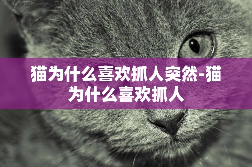 貓為什么喜歡抓人突然-貓為什么喜歡抓人