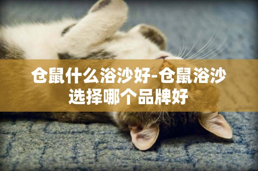 倉鼠什么浴沙好-倉鼠浴沙選擇哪個品牌好