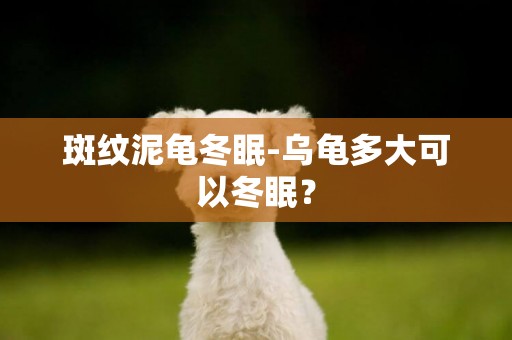 斑紋泥龜冬眠-烏龜多大可以冬眠？