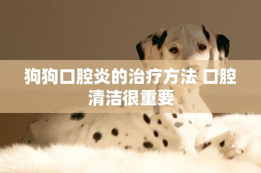 狗狗口腔炎的治療方法 口腔清潔很重要