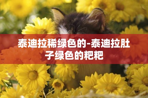 泰迪拉稀綠色的-泰迪拉肚子綠色的粑粑
