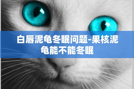 白唇泥龜冬眠問題-果核泥龜能不能冬眠