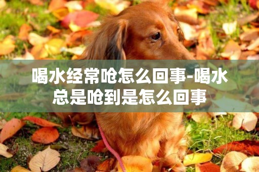 喝水經常嗆怎么回事-喝水總是嗆到是怎么回事