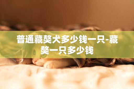 普通藏獒犬多少錢一只-藏獒一只多少錢