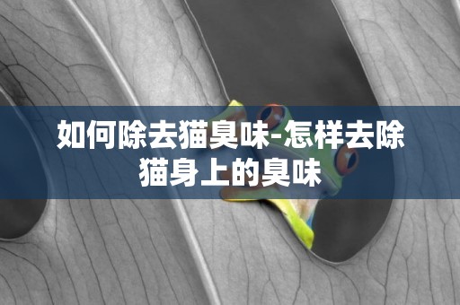 如何除去貓臭味-怎樣去除貓身上的臭味