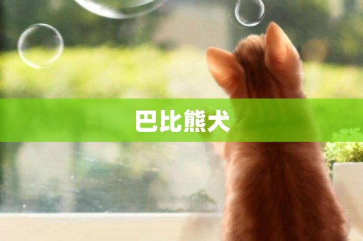巴比熊犬