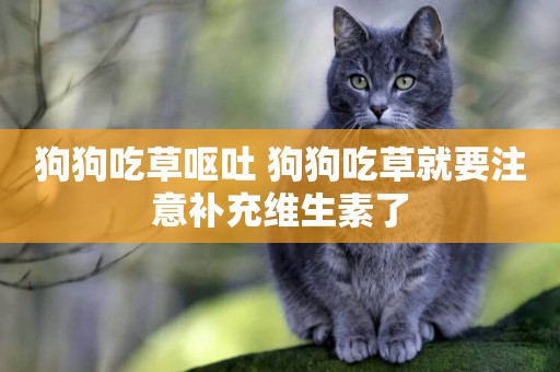狗狗吃草嘔吐 狗狗吃草就要注意補充維生素了