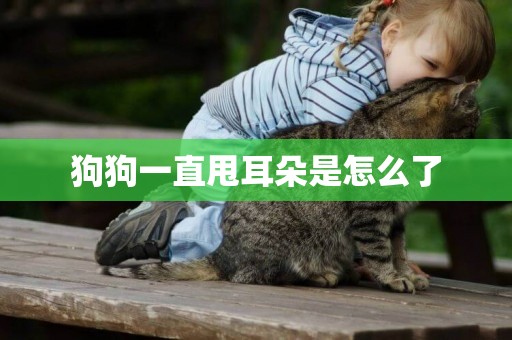 狗狗一直甩耳朵是怎么了