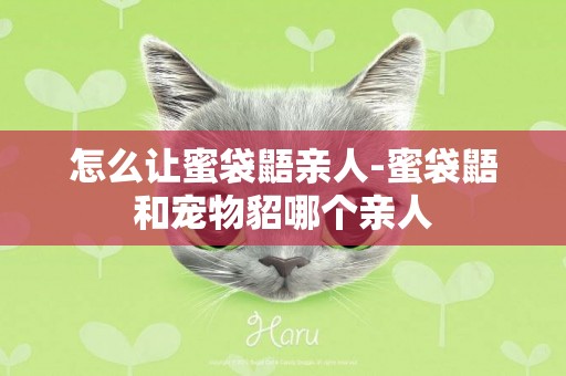 怎么讓蜜袋鼯親人-蜜袋鼯和寵物貂哪個親人
