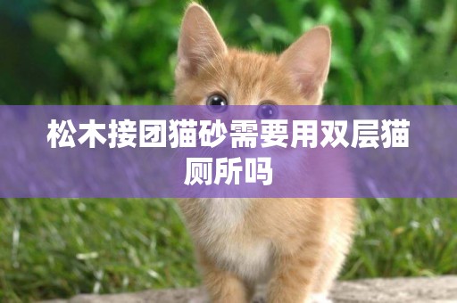 松木接團貓砂需要用雙層貓廁所嗎