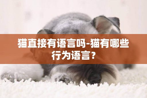 貓直接有語言嗎-貓有哪些行為語言？