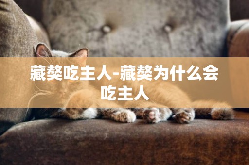 藏獒吃主人-藏獒為什么會吃主人