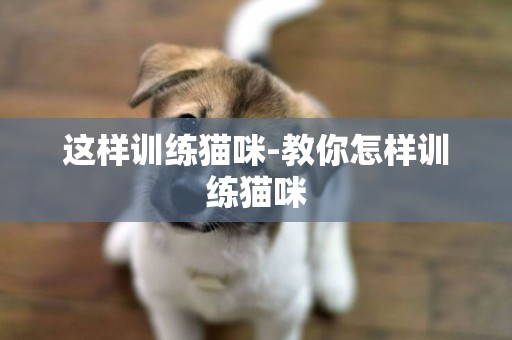 這樣訓練貓咪-教你怎樣訓練貓咪