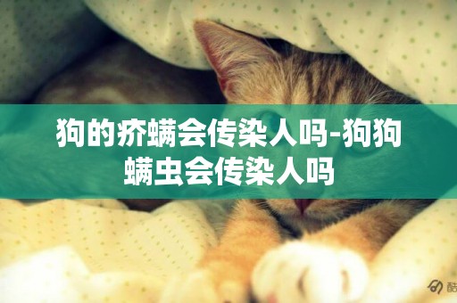 狗的疥螨會傳染人嗎-狗狗螨蟲會傳染人嗎