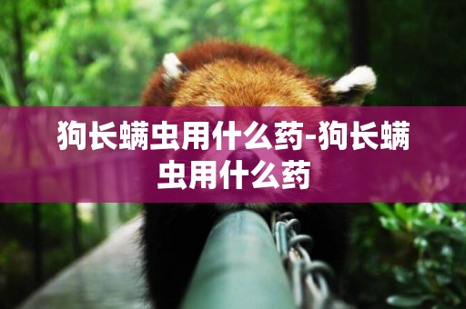 狗長螨蟲用什么藥-狗長螨蟲用什么藥