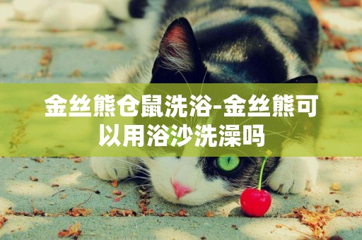 金絲熊倉鼠洗浴-金絲熊可以用浴沙洗澡嗎