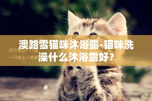 澳路雪貓咪沐浴露-貓咪洗澡什么沐浴露好？