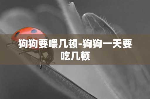 狗狗要喂幾頓-狗狗一天要吃幾頓