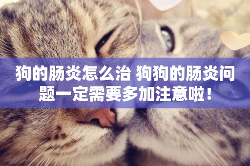狗的腸炎怎么治 狗狗的腸炎問題一定需要多加注意啦！