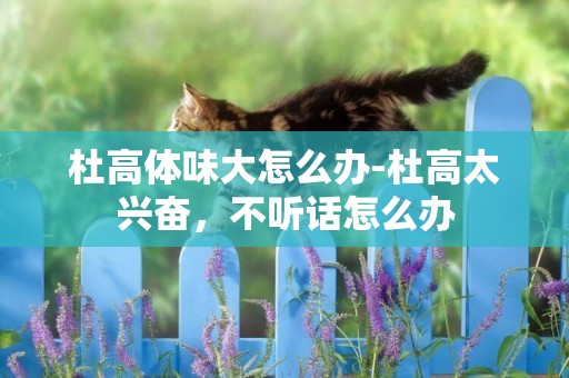 杜高體味大怎么辦-杜高太興奮，不聽話怎么辦