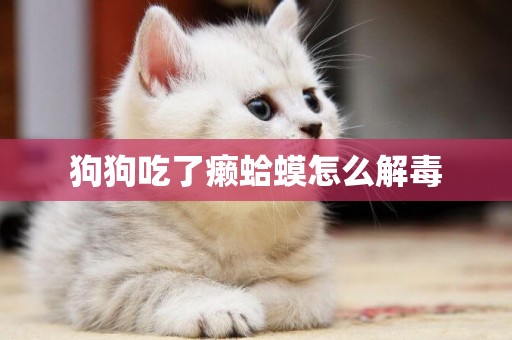 狗狗吃了癩蛤蟆怎么解毒