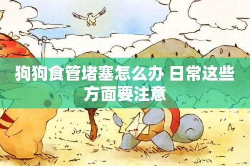 狗狗食管堵塞怎么辦 日常這些方面要注意
