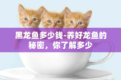 黑龍魚多少錢-養好龍魚的秘密，你了解多少