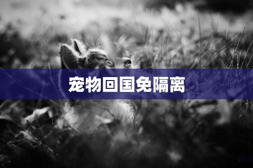 寵物回國免隔離