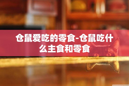 倉鼠愛吃的零食-倉鼠吃什么主食和零食
