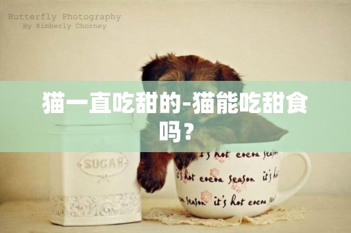 貓一直吃甜的-貓能吃甜食嗎？