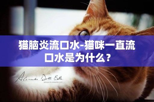 貓腦炎流口水-貓咪一直流口水是為什么？