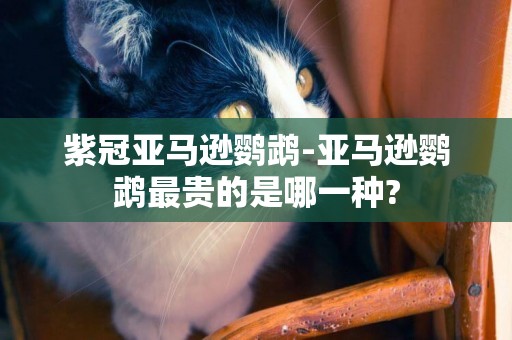 紫冠亞馬遜鸚鵡-亞馬遜鸚鵡最貴的是哪一種?