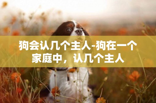 狗會認幾個主人-狗在一個家庭中，認幾個主人