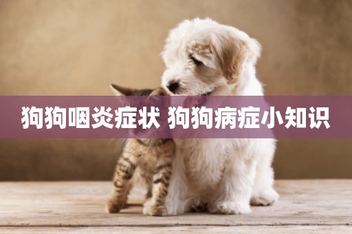 狗狗咽炎癥狀 狗狗病癥小知識