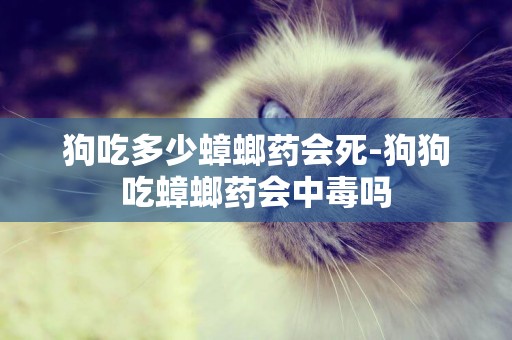 狗吃多少蟑螂藥會死-狗狗吃蟑螂藥會中毒嗎