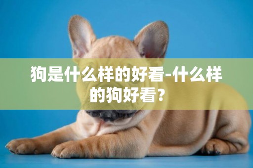 狗是什么樣的好看-什么樣的狗好看？