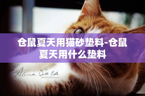 倉鼠夏天用貓砂墊料-倉鼠夏天用什么墊料