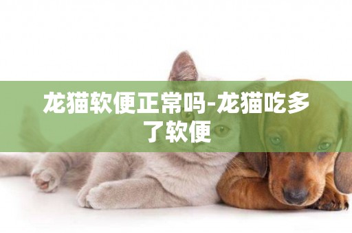 龍貓軟便正常嗎-龍貓吃多了軟便