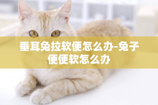 垂耳兔拉軟便怎么辦-兔子便便軟怎么辦