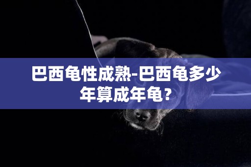 巴西龜性成熟-巴西龜多少年算成年龜？