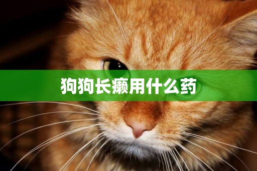 狗狗長癩用什么藥