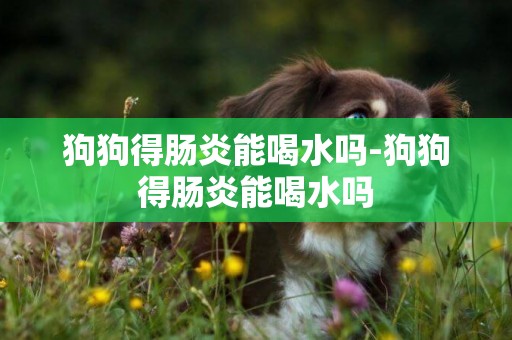 狗狗得腸炎能喝水嗎-狗狗得腸炎能喝水嗎