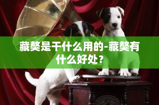藏獒是干什么用的-藏獒有什么好處？