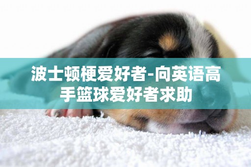 波士頓梗愛好者-向英語高手籃球愛好者求助