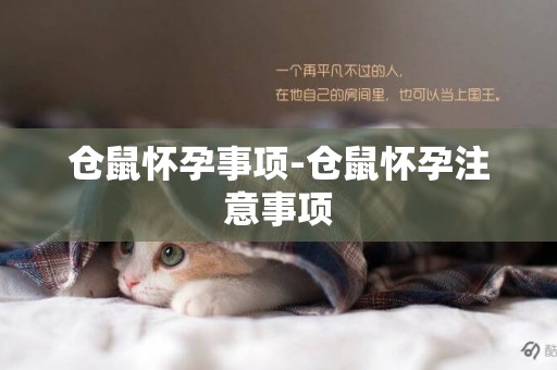 倉鼠懷孕事項-倉鼠懷孕注意事項