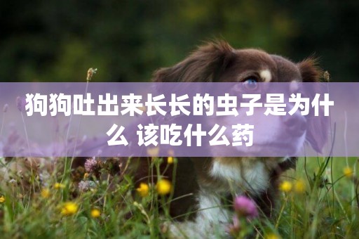 狗狗吐出來長長的蟲子是為什么 該吃什么藥