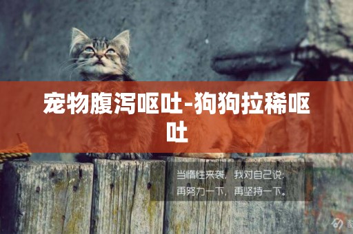 寵物腹瀉嘔吐-狗狗拉稀嘔吐