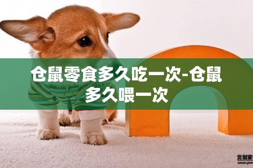 倉鼠零食多久吃一次-倉鼠多久喂一次